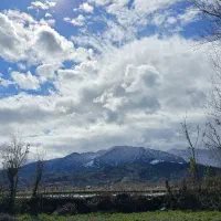 1100 متری تماما مسکونی|فروش زمین و ملک کلنگی|رانکوه, |دیوار