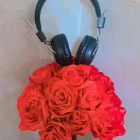 هدفون SD1001