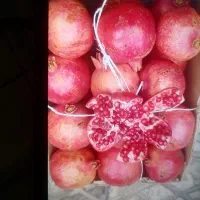 انار دروشت کیلویی 100