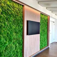 طراحی و اجرای ماس وال دیوار خزه‌ای|گل و گیاه طبیعی|کرج, حصارک بالا|دیوار