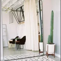 آینه و سرشور