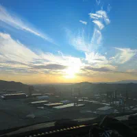 کد تخفیف میلی