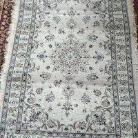 طول 100سانتی متروعزض 80سانتی من قالی ناعین