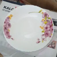 سرویس آرکوپال پارس اوپال مدل نوبل