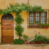 اجاره آپارتمان ۷۰ متری ۱ خوابه طبقه ۱