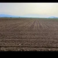 نیازمند زمین اجاره ای محدود مختار و دشتروم