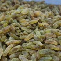 کشمش سبز تخفیف تخفیف|خوردنی و آشامیدنی|اردکان, |دیوار