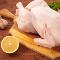 مرغ تازه کیلویی ۳۰۰