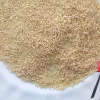 نیمدانه هاشمی