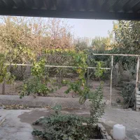 خانه باغ و سوله دیزیجان|فروش خانه و ویلا|سلفچگان, |دیوار