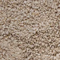 دان مرغ تخمگذار