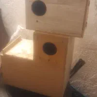 پرنده