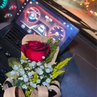 مانیتور ماشین