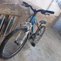 دو چرخه|دوچرخه، اسکیت، اسکوتر|زنجان, |دیوار