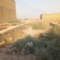 فروش زمین ۱۰۰ متری در اسلام آباد شرقی|فروش زمین و ملک کلنگی|اهواز, اسلام آباد شرقی|دیوار