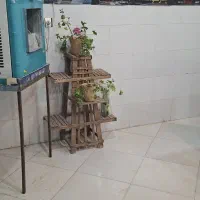 واگذاری-بخشی-ارز-مغازه