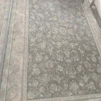 فرش ۶ متری ۱۲۰۰ شونه ۳۶۰۰ تراکم|فرش|پاپی, |دیوار