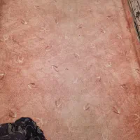 موکت سالم و بدون پارگی