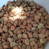 باقالی تر وتمیز پاک کرده|خوردنی و آشامیدنی|کردکوی, |دیوار