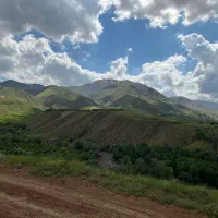 باغ یام