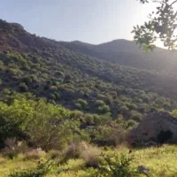 رهن و اجاره عمارت زیبایی