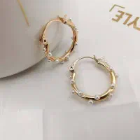 گوشواره پیدا شده