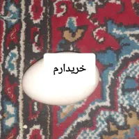 تخم مرغ محلی نطفه دار