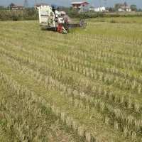 کمباین دروگر برنج2017 سینا موتور 100