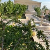 فروش ویلا باغ جوپار ۳۰قصب نوساز شیک