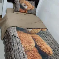 رو تختی یک نفره