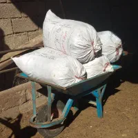 کود گوسفندی گونی شده