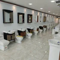 سرویس بهداشتی