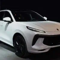 لاماری ایما سفید