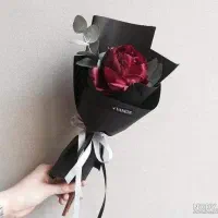 فروش بصورت شاخه تکی برای پارتنرتون و چند تایی|کنسول، بازی ویدئویی و آنلاین|خرم‌آباد, |دیوار