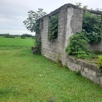 فروش یا تواتر  ویلا نیمه کاره بهمراه شالیزار برنج|فروش خانه و ویلا|کوچصفهان, |دیوار