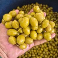 پخش کننده زیتون و رب