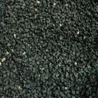 بذر پیاز زرد