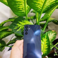 گوشی سامسونگ a15