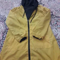 پالتو|لباس|کرج, کوی امامیه|دیوار