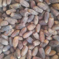 فروش قصب زیر قیمت بازار