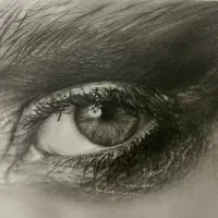 آموزش طراحی|خدمات آموزشی|شوش, |دیوار