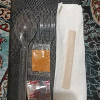 قاشق یکبار مصرف