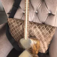 تار برند هاشمیان