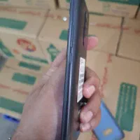 شیامی|موبایل|زاهدان, |دیوار