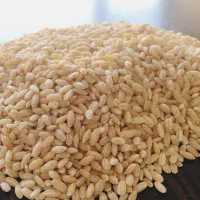 استخدام کارگرساده