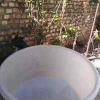 وان بزرگ|اسباب و اثاث بچه|اسفراین, |دیوار