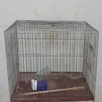 قفس پرندگان