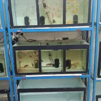 پایه و آکواریوم سه طبقه|ماهی|مشهد, اروند|دیوار