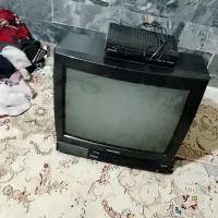 تلویزیون