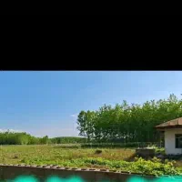 14400 متر زمین باغی با سند تک برگ